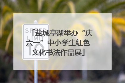 盐城亭湖举办“庆六一”中小学生红色文化书法作品展