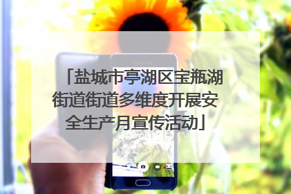 盐城市亭湖区宝瓶湖街道街道多维度开展安全生产月宣传活动