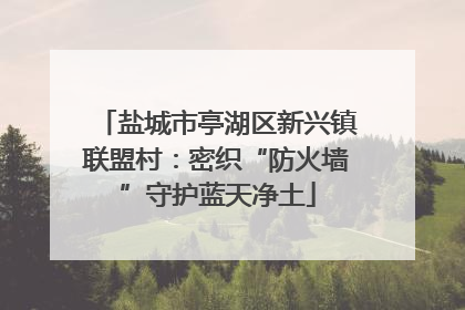 盐城市亭湖区新兴镇联盟村：密织“防火墙”守护蓝天净土
