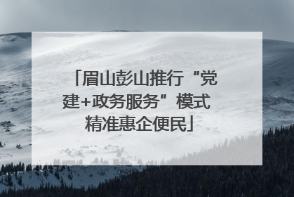 眉山彭山推行“党建+政务服务”模式 精准惠企便民