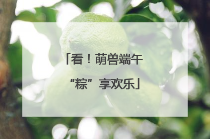 看！萌兽端午“粽”享欢乐