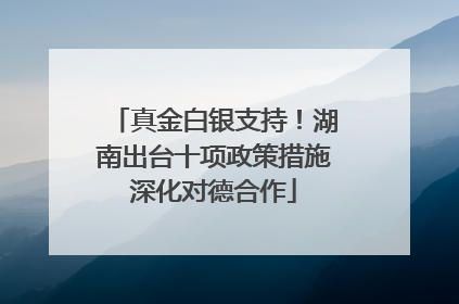 真金白银支持！湖南出台十项政策措施深化对德合作