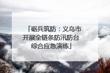 砺兵筑防：义乌市开展全链条防汛防台综合应急演练
