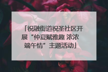 祝融街道祝圣社区开展“仲夏赋雅趣 浓浓端午情”主题活动