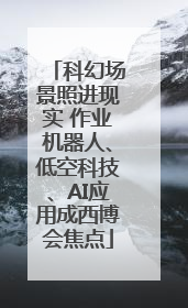科幻场景照进现实 作业机器人、低空科技、AI应用成西博会焦点