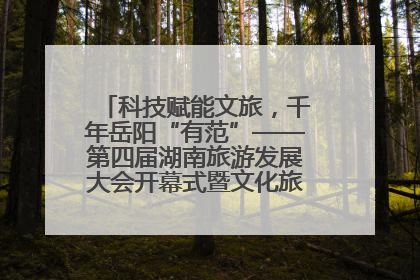 科技赋能文旅，千年岳阳“有范”——第四届湖南旅游发展大会开幕式暨文化旅游推介会侧记