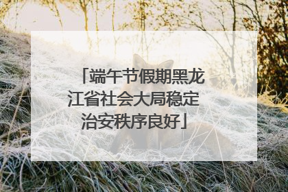 端午节假期黑龙江省社会大局稳定治安秩序良好