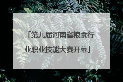 第九届河南省粮食行业职业技能大赛开幕