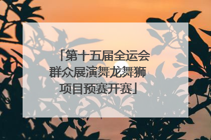 第十五届全运会群众展演舞龙舞狮项目预赛开赛