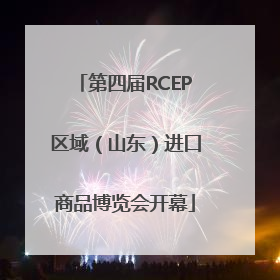 第四届RCEP区域（山东）进口商品博览会开幕