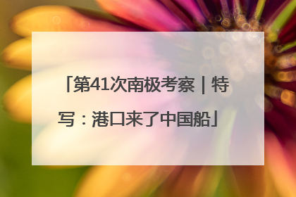 第41次南极考察｜特写：港口来了中国船