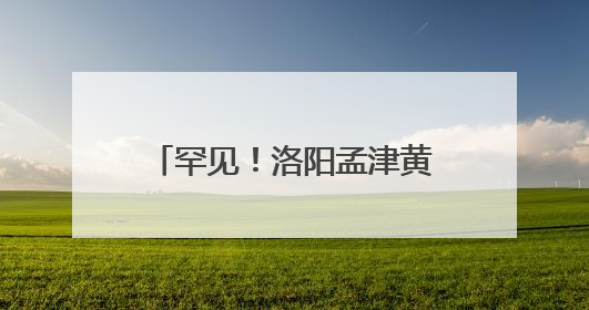 罕见！洛阳孟津黄河湿地再次迎来“东方宝石”彩鹮