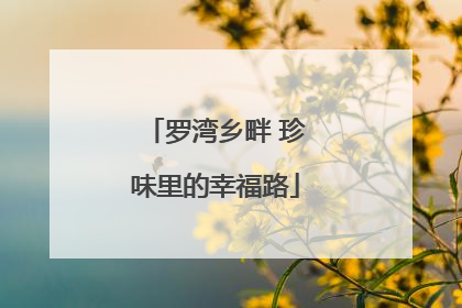 罗湾乡畔 珍味里的幸福路