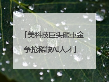 美科技巨头砸重金争抢稀缺AI人才