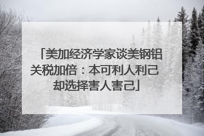 美加经济学家谈美钢铝关税加倍：本可利人利己 却选择害人害己