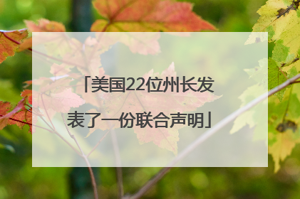 美国22位州长发表了一份联合声明