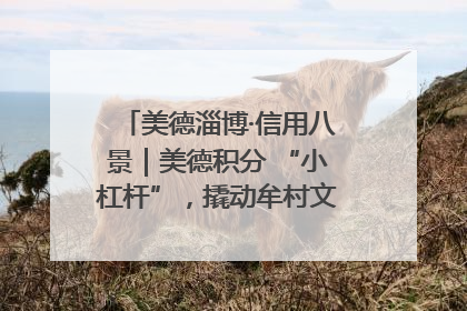 美德淄博·信用八景｜美德积分 “小杠杆”，撬动牟村文明 “大能量”