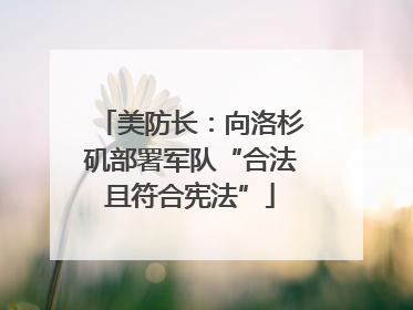 美防长：向洛杉矶部署军队“合法且符合宪法”