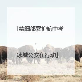 精细部署护航中考 冰城公安在行动