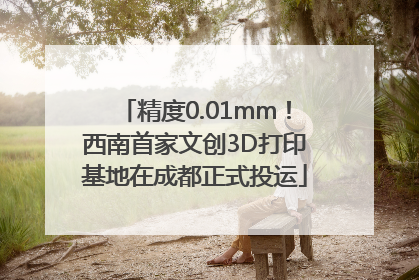 精度0.01mm！西南首家文创3D打印基地在成都正式投运