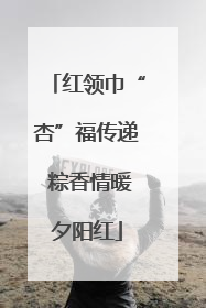 红领巾“杏”福传递 粽香情暖夕阳红