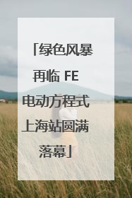 绿色风暴再临 FE电动方程式上海站圆满落幕