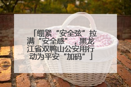 绷紧“安全弦”拉满“安全感”，黑龙江省双鸭山公安用行动为平安“加码”