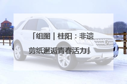 组图｜桂阳：非遗剪纸邂逅青春活力