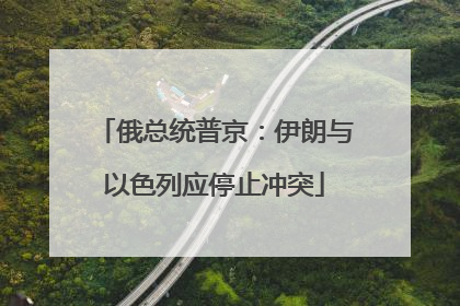 俄总统普京：伊朗与以色列应停止冲突