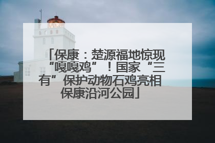 保康：楚源福地惊现“嘎嘎鸡”！国家“三有”保护动物石鸡亮相保康沿河公园