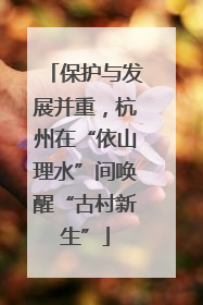 保护与发展并重，杭州在“依山理水”间唤醒“古村新生”