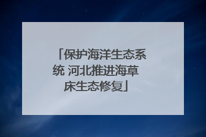 保护海洋生态系统 河北推进海草床生态修复