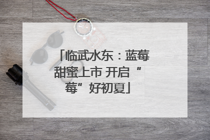 临武水东：蓝莓甜蜜上市 开启“莓”好初夏
