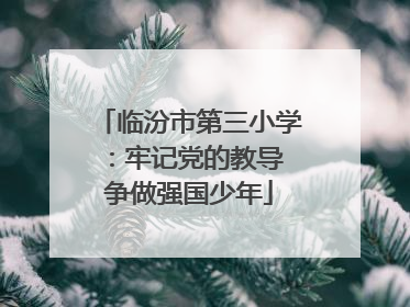 临汾市第三小学：牢记党的教导 争做强国少年