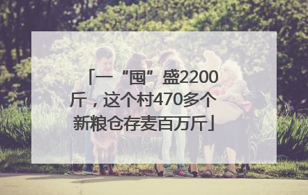 一“囤”盛2200斤，这个村470多个新粮仓存麦百万斤