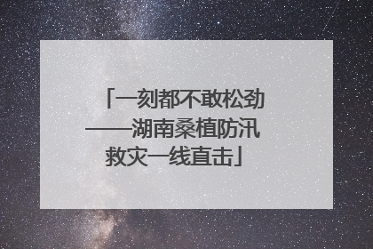 一刻都不敢松劲——湖南桑植防汛救灾一线直击