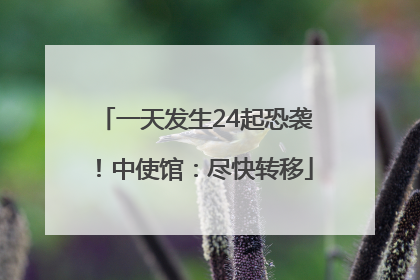 一天发生24起恐袭！中使馆：尽快转移
