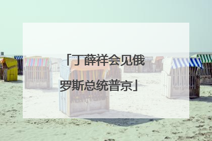 丁薛祥会见俄罗斯总统普京
