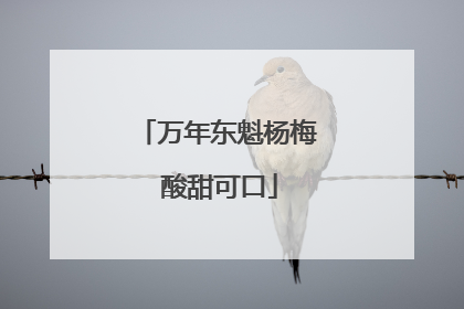 万年东魁杨梅 酸甜可口
