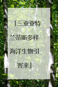 三亚亚特兰蒂斯多样海洋生物引客来