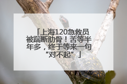 上海120急救员被踹断肋骨！苦等半年多，终于等来一句“对不起”