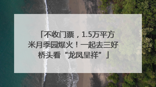 不收门票，1.5万平方米月季园爆火！一起去三好桥头看“龙凤呈祥”