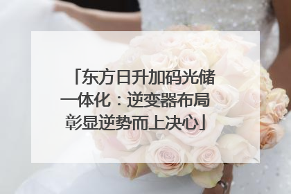 东方日升加码光储一体化：逆变器布局彰显逆势而上决心