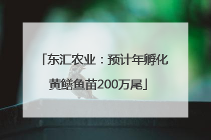 东汇农业：预计年孵化黄鳝鱼苗200万尾