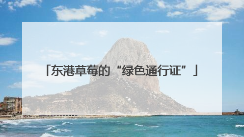 东港草莓的“绿色通行证”