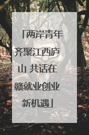 两岸青年齐聚江西庐山 共话在赣就业创业新机遇