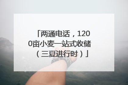两通电话，1200亩小麦一站式收储（三夏进行时）