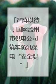 严阵以待，国网孟州市供电公司筑牢防汛保电“安全堤”