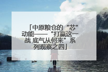 中原粮仓的“芯”动能——“打赢这一战 底气从何来”系列观察之四
