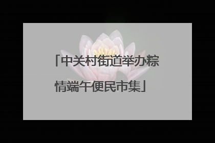 中关村街道举办粽情端午便民市集